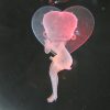 Crystal Ball - Betty Boop - Image 3