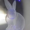Crystal Ball - Bunny Rabbit - Image 2