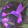 Crystal Ball - Hummingbird No.3 - Image 2