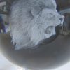 Crystal Ball - Lion