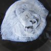 Crystal Ball - Lion - Image 3