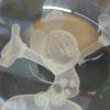 Crystal Ball - Mickey Mouse - Image 2