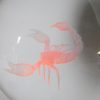 Crystal Ball - Scorpion