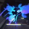 Crystal Ball - Three Sea Turtles - Image 2