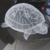 Crystal Ball - Turtle - Image 2